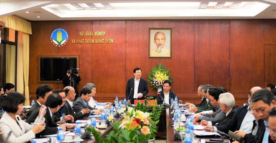 Phó Thủ tướng Trịnh Đình Dũng yêu cầu các bộ ngành, địa phương khẩn cấp áp dụng biện pháp ngăn dịch tả lợn châu Phi lây lan diện rộng.