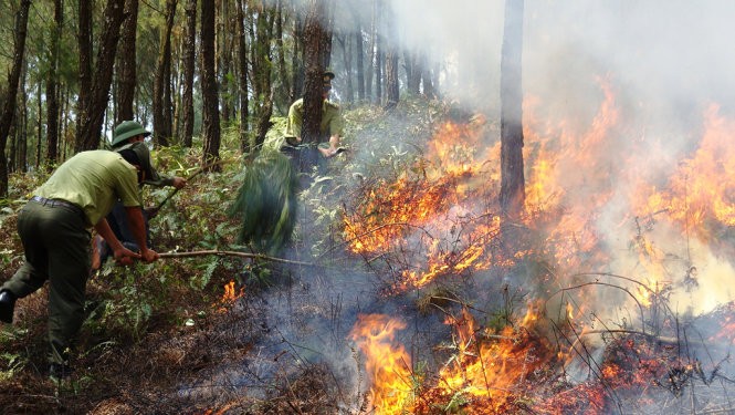Nắng nóng gay gắt và hanh khô diễn ra trên diện rộng, nguy cơ cháy rừng rất cao tại nhiều địa phương