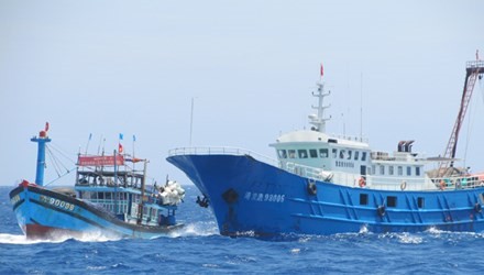 Tàu cá của ngư dân Việt Nam nhiều lần bị tàu Trung Quốc cướp phá tài sản khi khai thác hải sản ở khu vực Hoàng Sa của Việt Nam