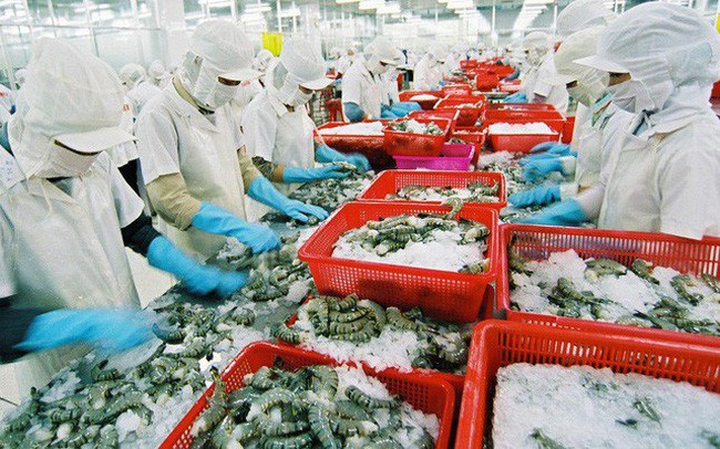 Việc Mỹ công bố kết quả cuối cùng của đợt rà soát hành chính lần thứ 13 (POR 13) về thuế chống bán phá giá tôm Việt Nam với 31 doanh nghiệp được hưởng mức thuế 0% sẽ giúp xuất khẩu tôm Việt Nam thuận lợi hơn trong thời gian tới.