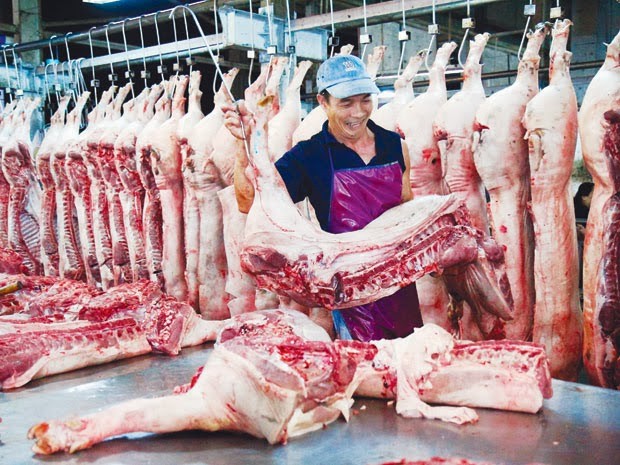 Sở NN&PTNT Hà Nội cho biết, người tiêu dùng Thủ đô thiếu hụt khoảng 90.000-100.000 tấn thịt lợn do dịch tả lợn châu Phi.