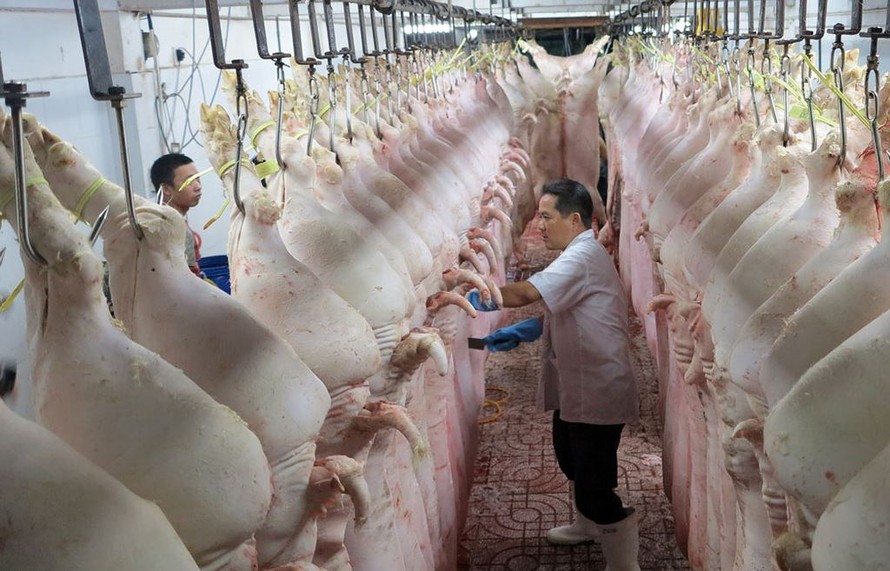 Bộ NN&PTNT đề nghị các doanh nghiệp không tham gia, tiếp tay cho các hoạt động buôn lậu thịt lợn, tổ chức tái đàn đảm bảo an toàn sinh học để bổ sung nguồn cung trong thời gian tới.