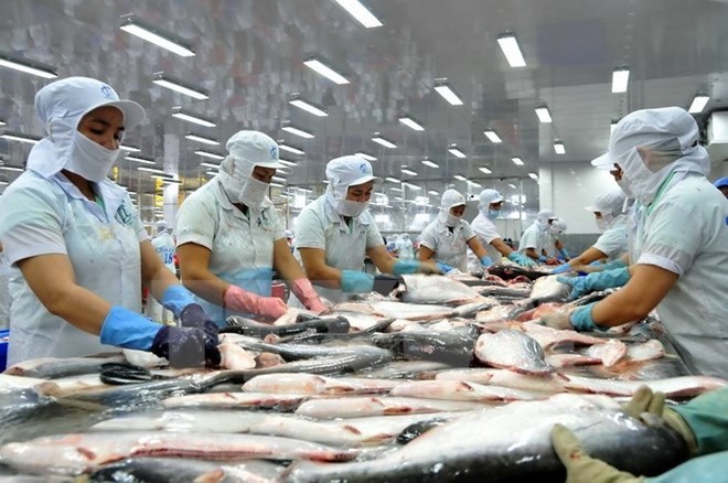 Vasep dự báo khả năng xuất khẩu cá tra sẽ phục hồi dân trong thời gian tới, đặc biệt là thị trường Mỹ, Trung Quốc