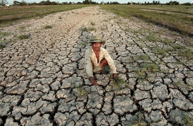 Hạn hán khiến hàng hàng chục nghìn hộ dân miền Trung, Tây Nguyên thiếu nước sinh hoạt, nhiều diện tích cây trồng thiếu nước tưới.
