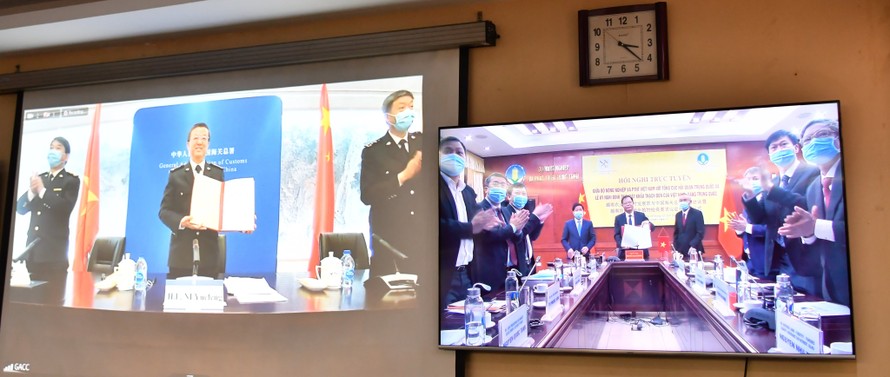 Việt Nam ký Nghị định thư trực tuyến về xuất khẩu thạch đen với Trung Quốc