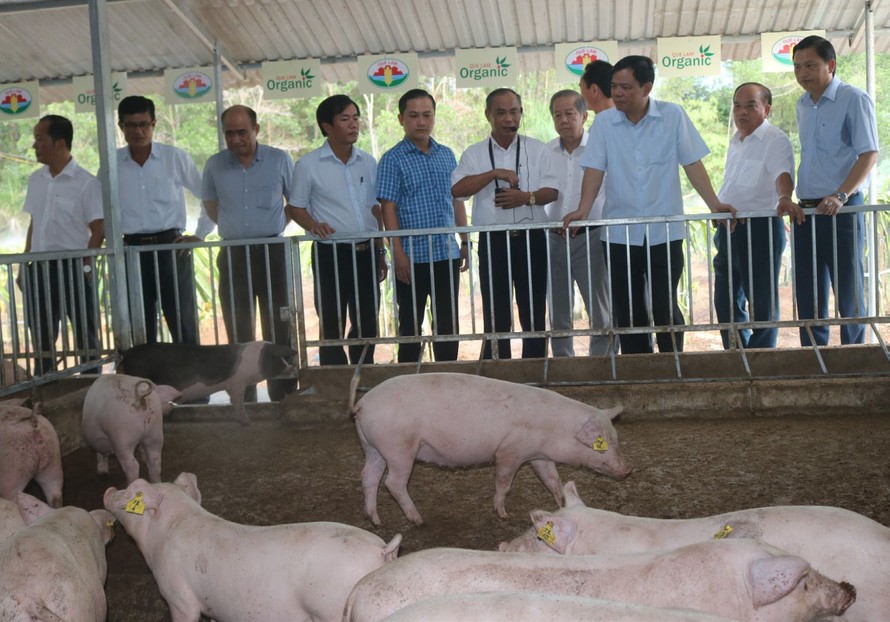 Bộ trưởng NN&PTNT Nguyễn Xuân Cường trong một lần đi khảo sát trang trại chăn nuôi của Tập đoàn Quế Lâm