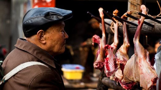 Treo bán thịt chó ở Trung Quốc. Ảnh minh họa