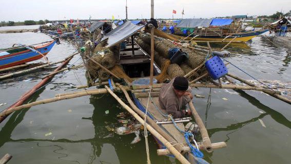 Một dân chài cố định thuyền của mình ở nơi an toàn để tránh bão Rammasun