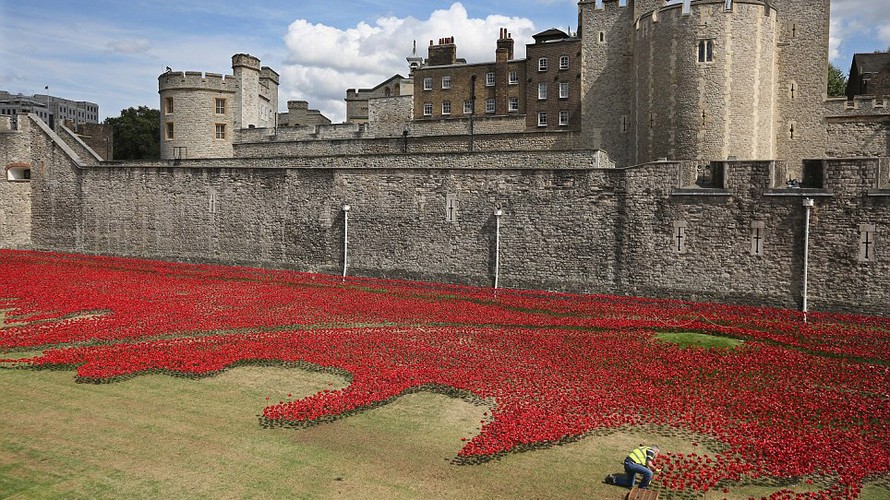 Những bông hoa anh túc đỏ phủ quanh Tháp London như "biển máu"