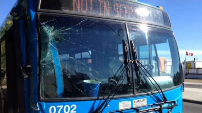 Chiếc xe bus bị vỡ gương và hỏng kính chắn gió
