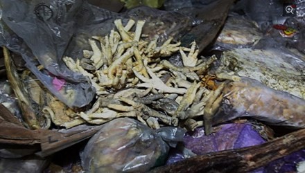 Chân gà thối bị thu giữ ở tỉnh Hồ Nam, Trung Quốc