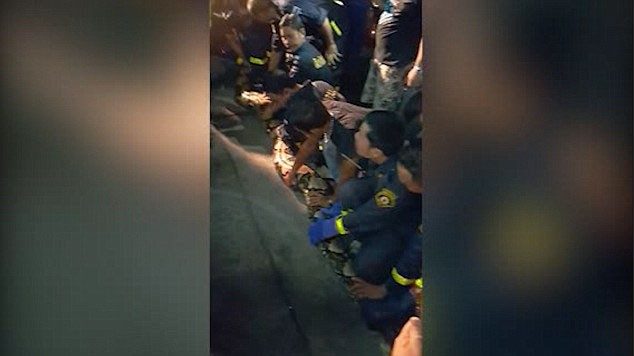 17 lính cứu hỏa cố gắng nâng con trăn khổng lồ lên