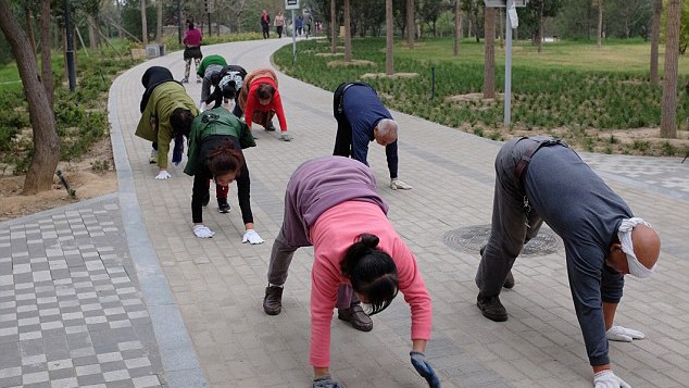 Tập bò đang là bài tập thể dục thịnh hành ở Hà Nam, Trung Quốc