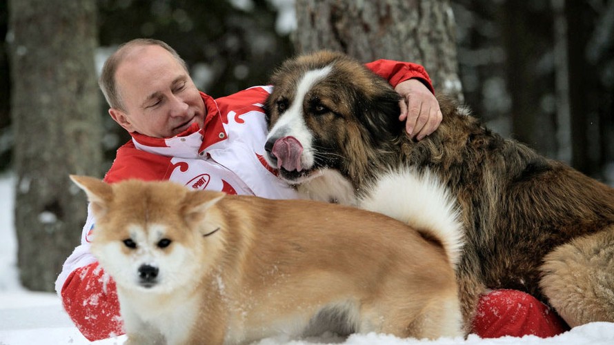  Tổng thống Nga Vladimir Putin cùng 2 chú cún cưng Yum và Buffy