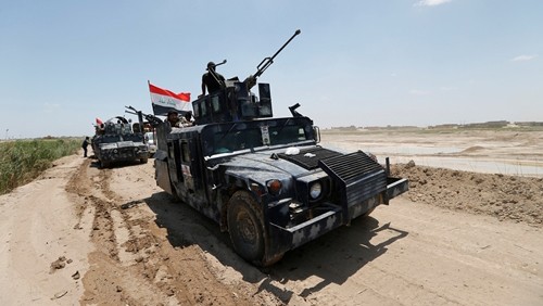 Quân chính phủ Iraq gần Fallujah hôm 31/5