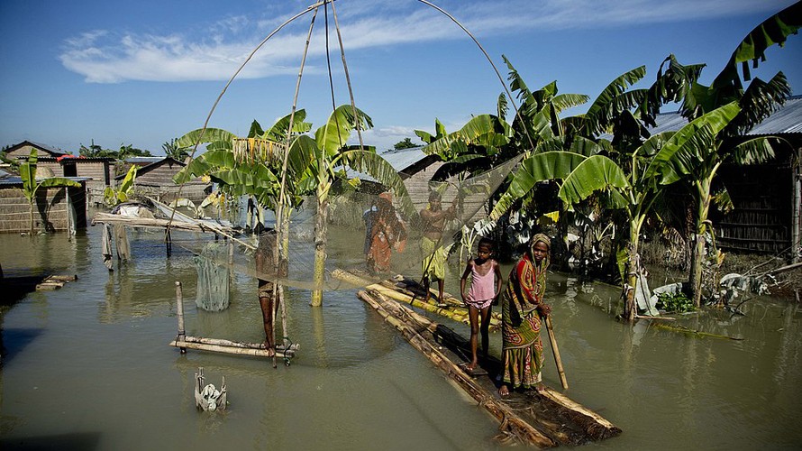 Trận lũ lụt kinh hoàng khiến hàng triệu người dân Ấn Độ mất nhà cửa