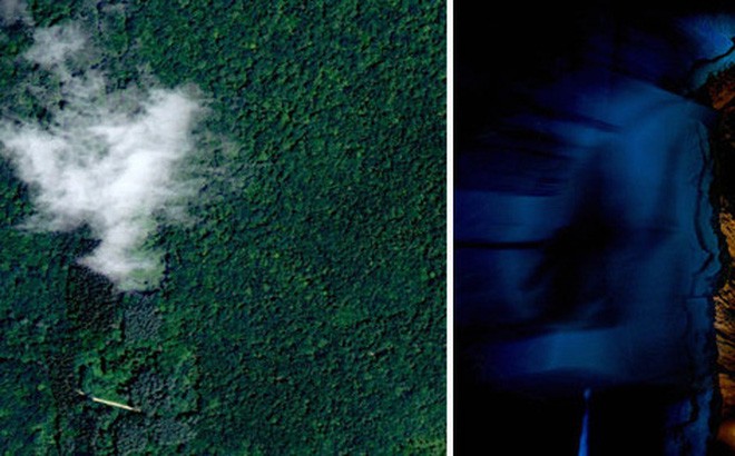 Ảnh chụp khu rừng từ trên cao của NASA