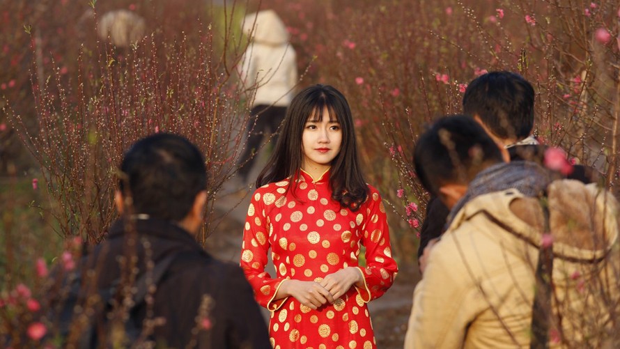 Thiếu nữ duyên dáng bên vườn đào dịp Tết nguyên đán ở Việt Nam nổi bật trong số những hình ảnh ấn tượng nhất thế giới năm 2016.