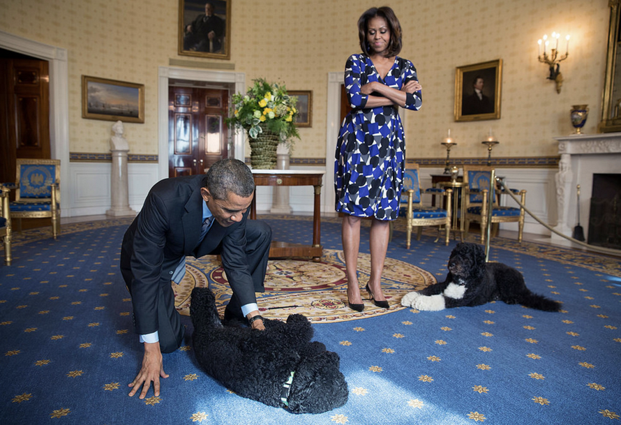 Hai chú chó tên Sunny và Bo của gia đình cựu Tổng thống Barack Obama