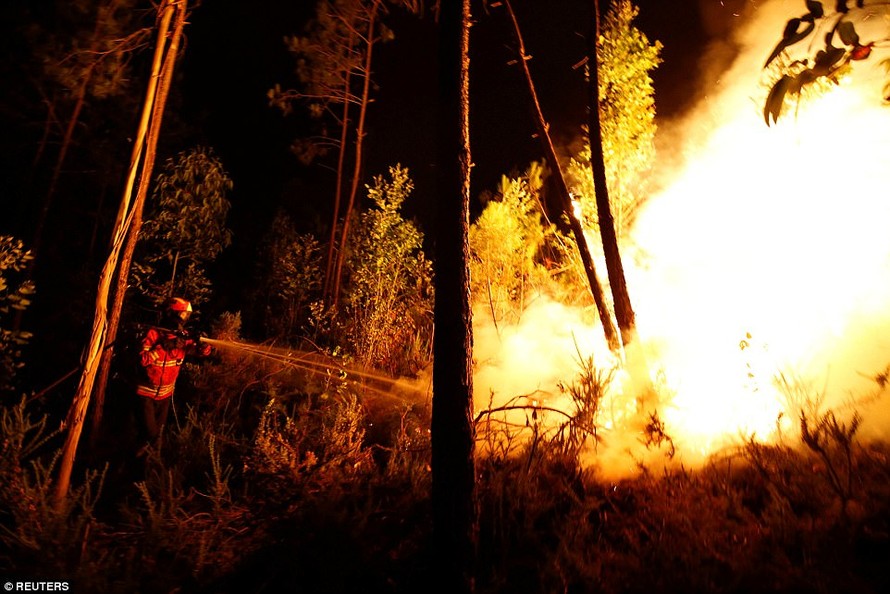 Thảm họa cháy rừng ở Bồ Đào Nha, 57 người thiệt mạng