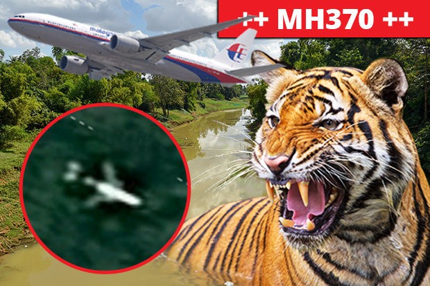 Các loài thú dữ như hổ là một trong những mối đe dọa chết người đối với các thợ săn MH370.
