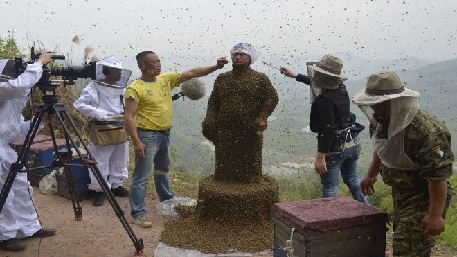 Gần nửa triệu con ong phủ kín người đàn ông