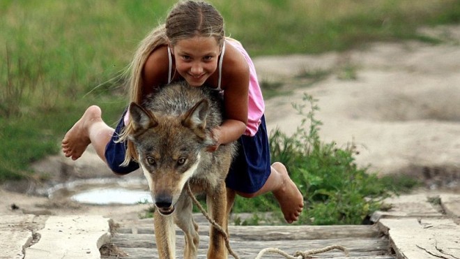 Kỳ lạ gia đình nuôi cả đàn sói như thú cưng