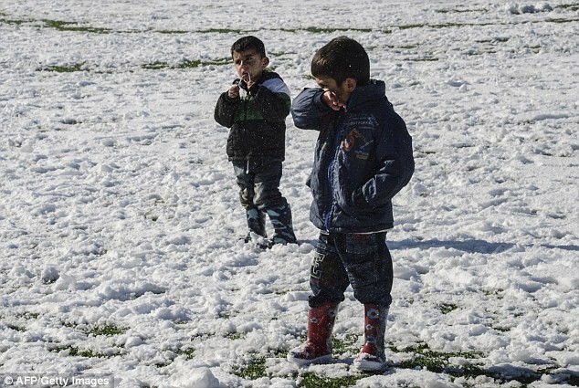 Những trẻ em tị nạn Yazidi. Ảnh: Dailymail