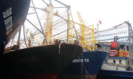 Tàu vỏ thép của ngư dân Bình Định nằm bờ.