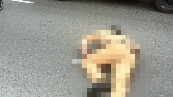 CSGT Hà Nội bị thanh niên lái xe máy tông gục trên quốc lộ