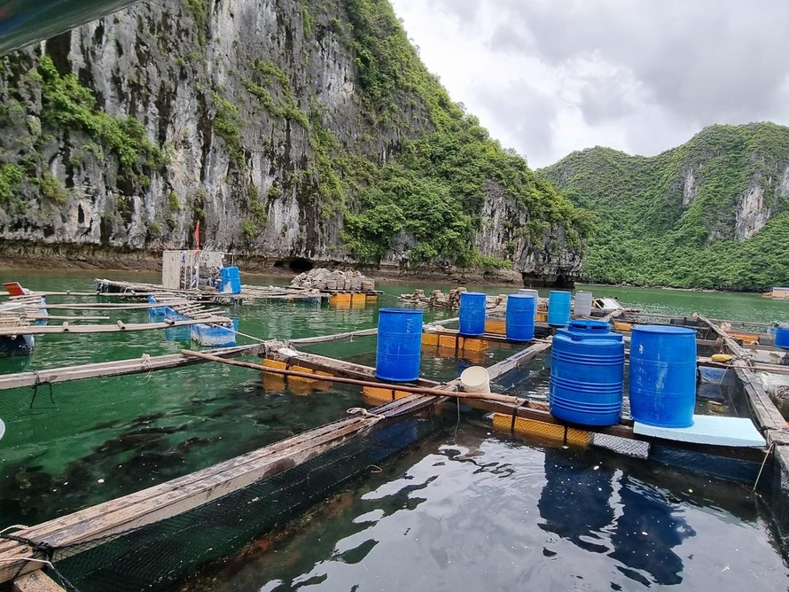 Cơ sở nuôi trồng thủy sản của người dân trên quần đảo Cát Bà.