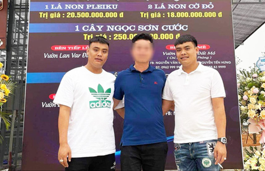 Anh em sinh đôi Bùi Hữu Thanh và Bùi Hữu Giang tham gia điều hành Công ty Đông Bắc Hải Dương vừa bị bắt.