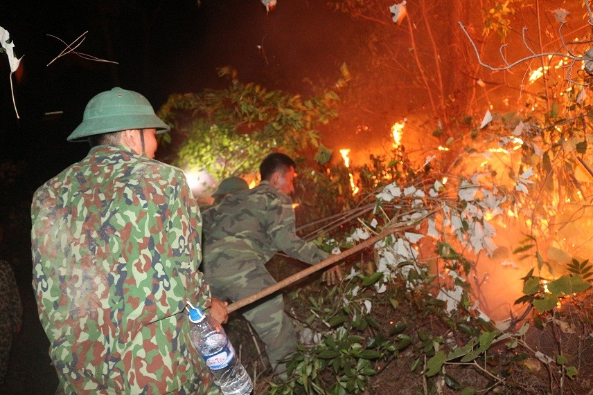 Cán bộ, chiến sĩ Tiểu đoàn Đặc công 31 (Bộ Tham mưu Quân khu 4) chữa cháy rừng ở huyện Nghi Xuân, Hà Tĩnh