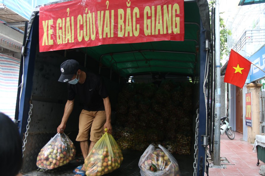 Nhiều nhóm thiện nguyện Hà Nội hỗ trợ bán vải Bắc Giang