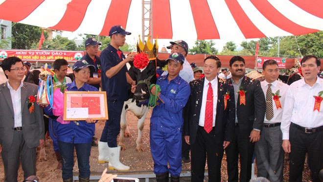 Vương miện Hoa hậu bò sữa Mộc Châu 2015 được trao cho nàng bò số hiệu 664 của chủ hộ Lê Thị Thoa, khu vực Vườn Đào 1 thuộc Thị trấn Nông trường Mộc Châu, huyện Mộc Châu, tỉnh Sơn La.