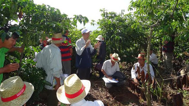 Nescafé Plan nâng cao thu nhập nông dân