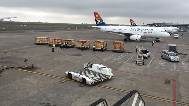 Các thùng chở thú chuyên dụng đang được đưa lên chuyến chuyên cơ thứ 7 - xuất phát từ Nam Phi lúc 15h ngày 16/12.