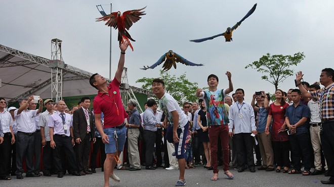 Lễ hội sinh vật cảnh lớn nhất Việt Nam tại Vinhomes Riverside 