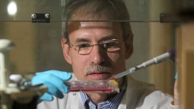 Giáo sư Mark Birch-Machin nghiên cứu về enzyme chuyển hóa trong tế bào da 