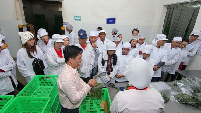 Những doanh nghiệp Horeca tham quan trạm trung chuyển rau quả tại Đà Lạt của MM Mega Market