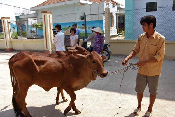 Masan Nutri-Science tặng 30 con bò giống cho các hộ nghèo tỉnh Long An