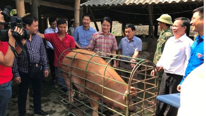 LienVietPostBank tiếp tục hành trình “giải cứu đàn lợn” ở Tây Bắc 