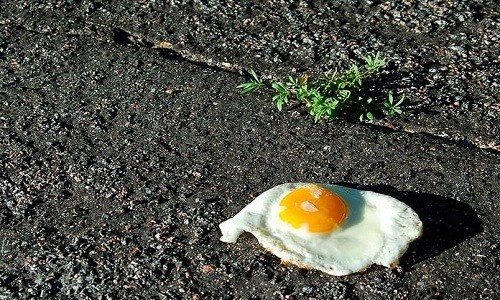 Mặt đường một số nơi ở Arizona đủ nóng để rán chín trứng. Ảnh: SCPR.