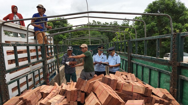 Lực lượng Hải quan Quảng Trị kiểm tra mặt hàng gỗ nhập khẩu tại cửa khẩu quốc tế Lao Bảo. Ảnh: Tuấn Nguyễn