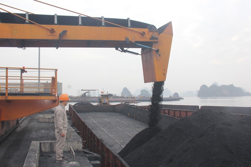 Công ty Công ty Kho vận và Cảng Cẩm Phả - TKV đã tổ chức rót 3.700 tấn than cám 6a.1 tiêu thụ thị trường nội địa