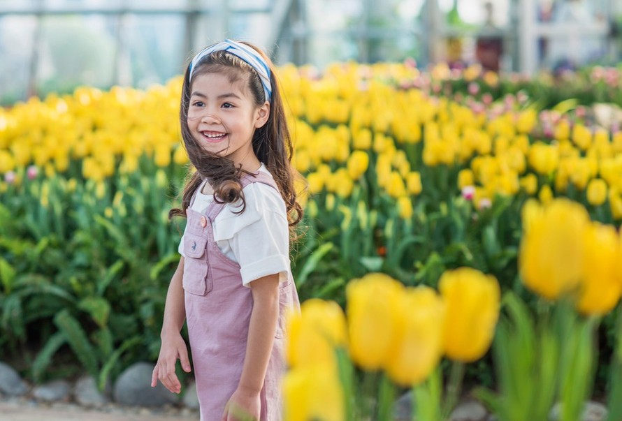 Ra mắt lễ hội Tulip lớn nhất Việt Nam tại Vinpearl Nha Trang 