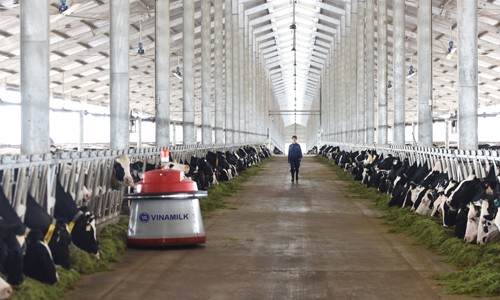 Khánh thành trang trại bò sữa công nghệ cao Vinamilk tại Thanh Hóa 