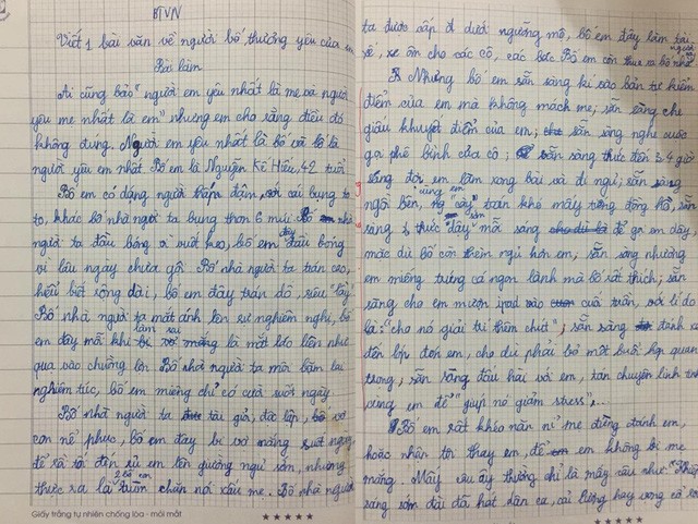 Bài văn tả bố đạt điểm 10 của Nguyễn Phan Anh Thư