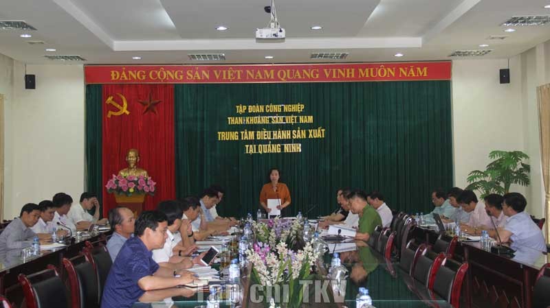  Phó Chủ tịch UBND tỉnh Vũ Thị Thu Thủy đánh giá cao sự nỗ lực của TKV và các đơn vị thành viên trong công tác đảm bảo ATVSLĐ 