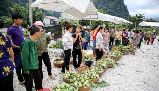 Ghé thăm chợ na lớn nhất miền Bắc ở Lạng Sơn